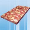 Baimingjian Bionic Terrestrial Magnetism Physiotherapy Mattress